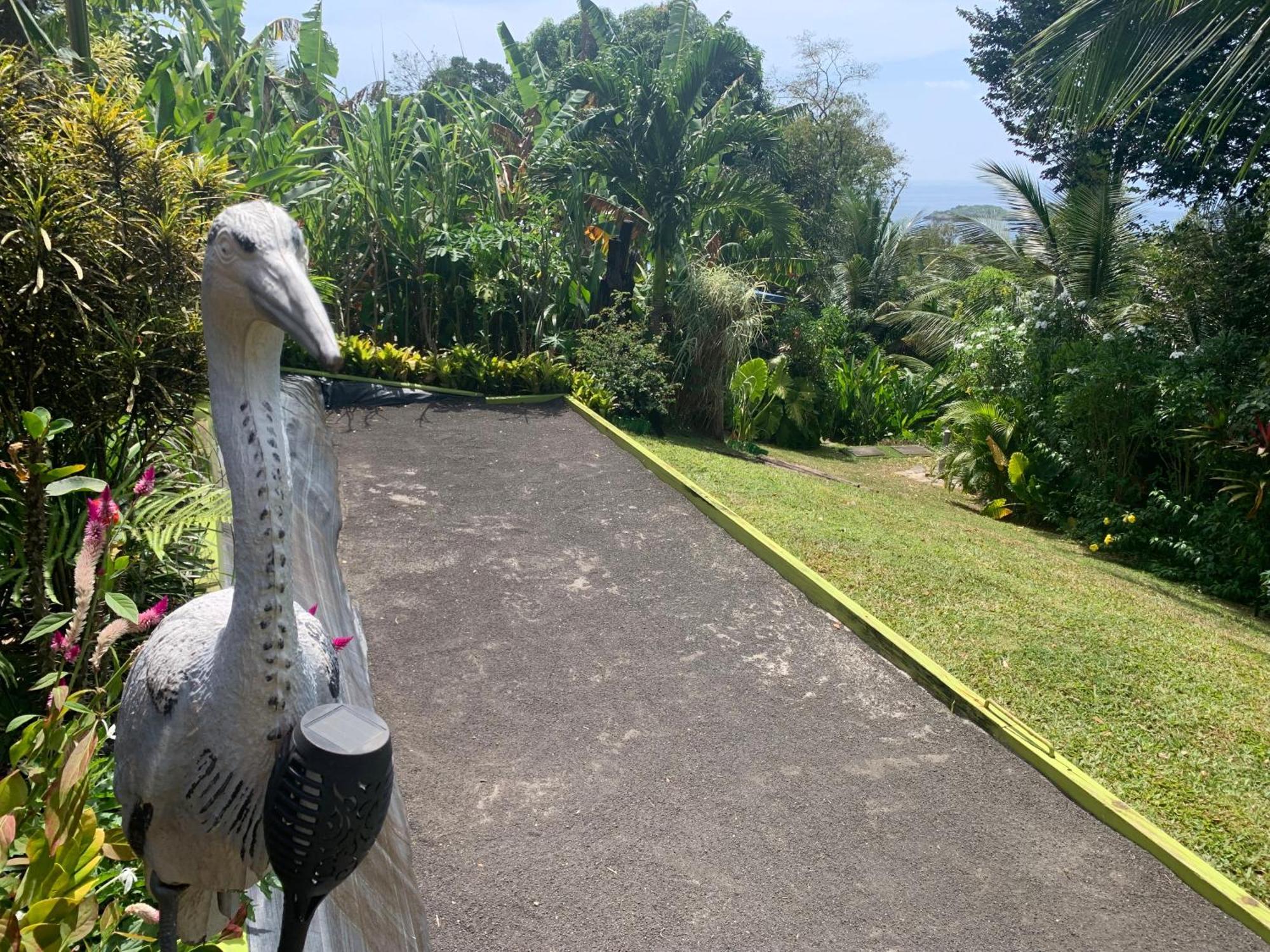 Les Ilets Caraibes Vue Mer Bouillante Exteriör bild