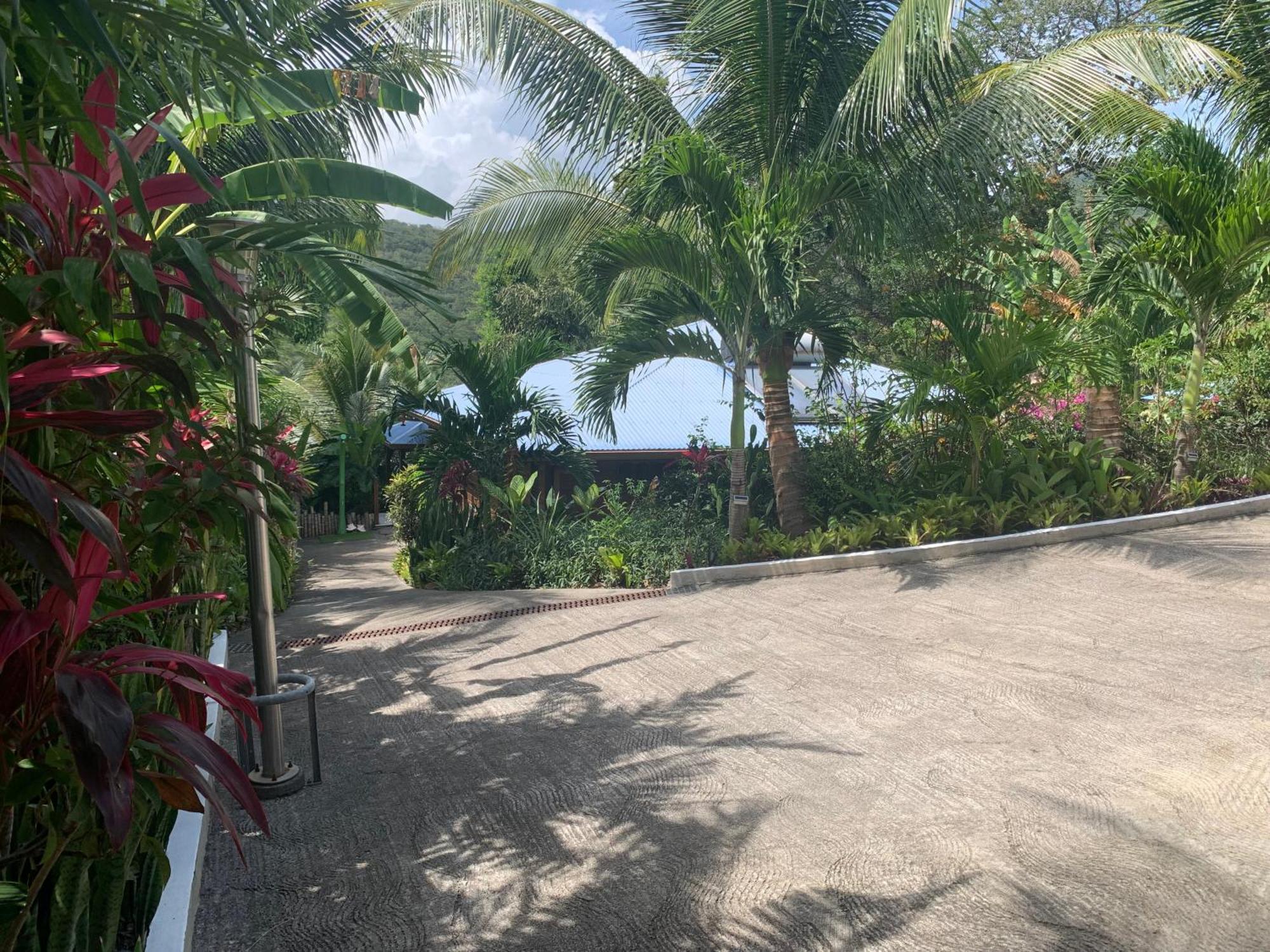 Les Ilets Caraibes Vue Mer Bouillante Exteriör bild