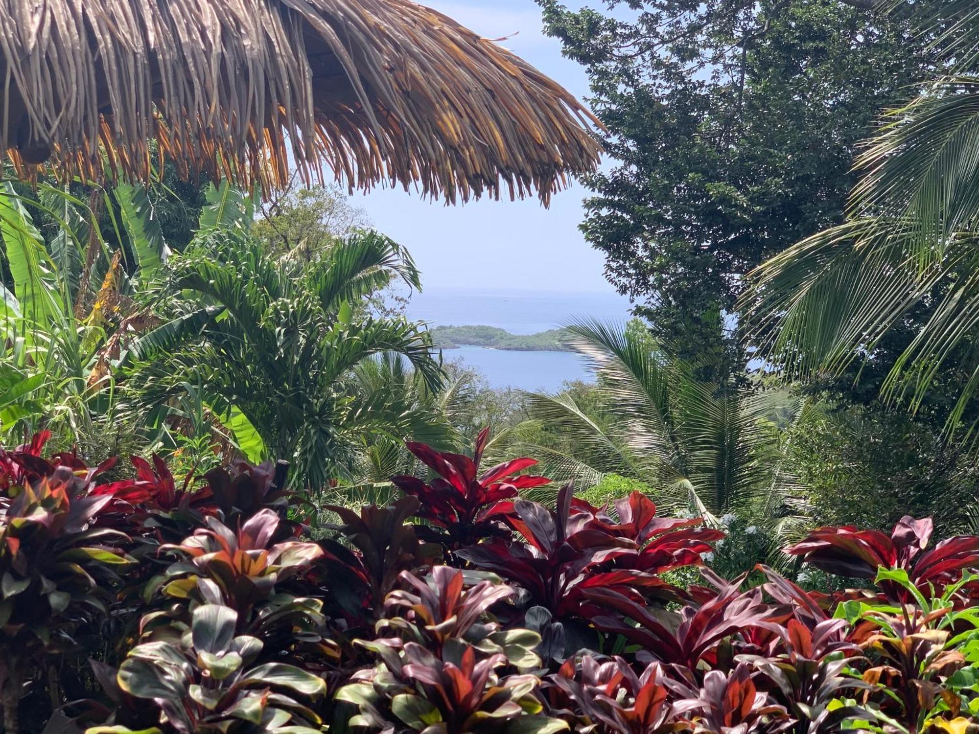 Les Ilets Caraibes Vue Mer Bouillante Exteriör bild